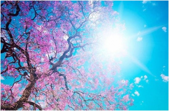 Սպասվում է առանց տեղումների եղանակ. օդի ջերմաստիճանը կբարձրանա 2-3 աստիճանով